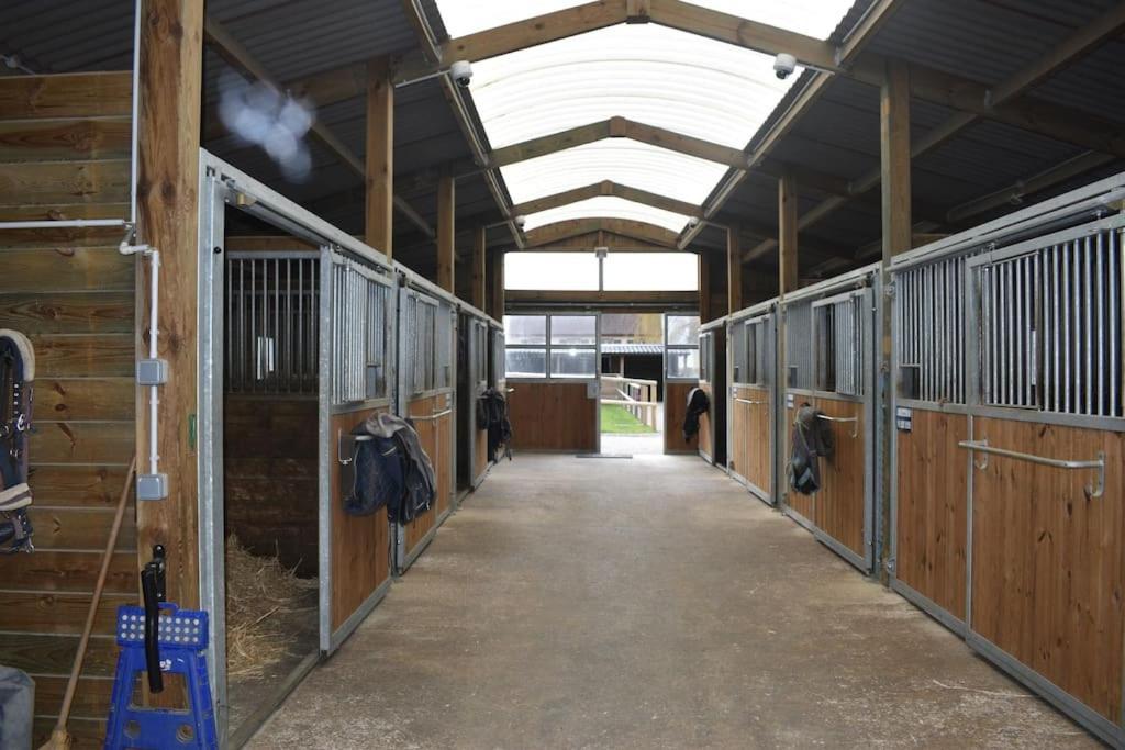 Вилла Haras De Connincthun Beuvrequen Экстерьер фото
